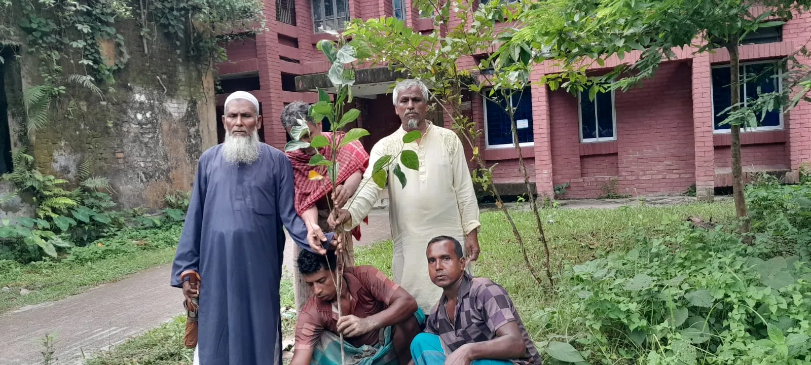 তারেক রহমানের পরিবেশবান্ধব কর্মসূচি বাস্তবায়নে মঘিয়া ইউনিয়নে ফলজ চারা রোপণ